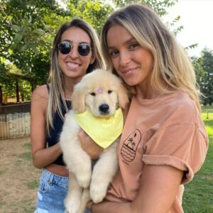 Golden retriever puppy for sale