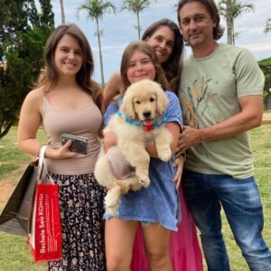 Golden retriever breeders near me